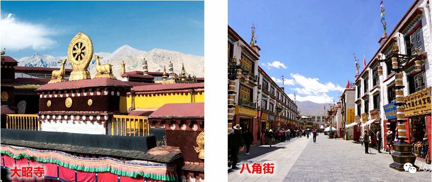 青海旅游公司 青海旅游公司