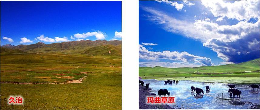 西宁旅游租车 西宁旅游租车